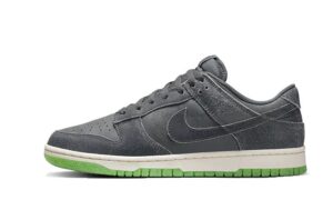 Dunk Low Swoosh Shadow Iron Grey